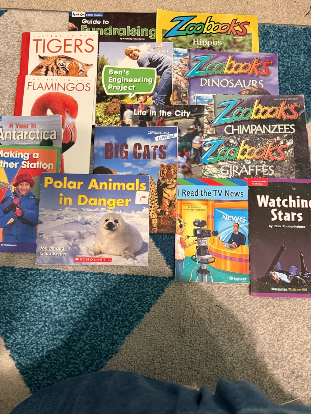 Scholastic Polar Animals in Danger - Blue and White Cover